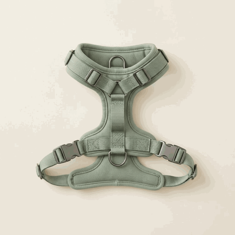 Northpaw TrailEase No-Pull Harness